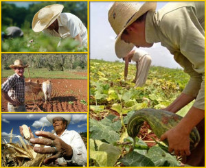 Reforma_Agraria-Colombia-Deslinde