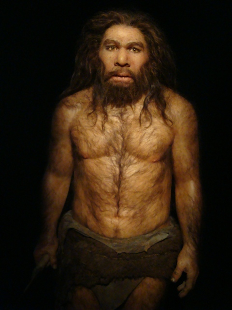 reconstruccic3b3n-de-un-hombre-de-neandertal-autora-marion-sabourdy