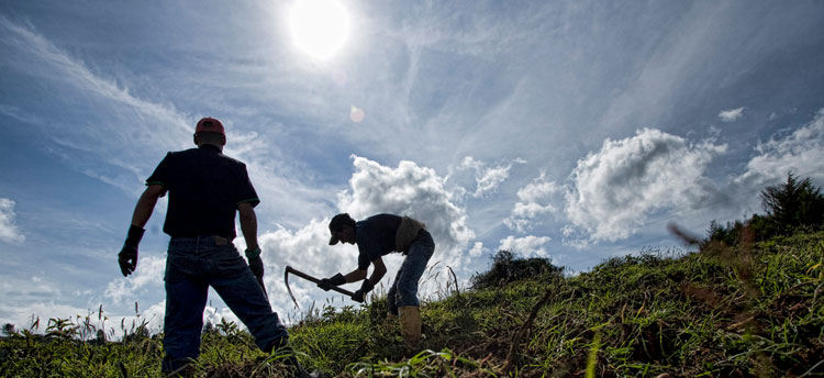 El fenómeno del acaparamiento de tierra en Bolívar: un eslabón más del libre comercio en el agro