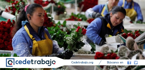 La brecha salarial en Colombia: Un problema de cuidado