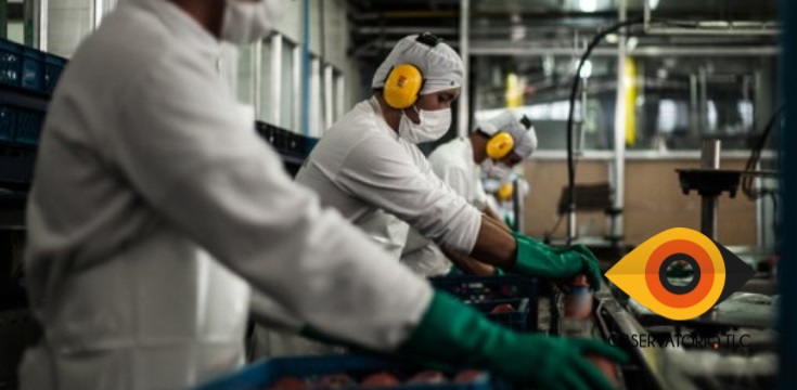 (Informe SIA #20) Recomendaciones de la OCDE a Colombia: cómo trasladar la crisis a los trabajadores
