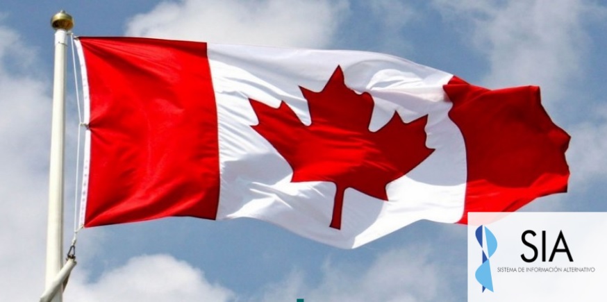 (Informe SIA #19) Cuatro años del TLC con Canadá: una vez más, las cifras están por debajo de las expectativas