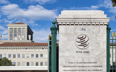 Los TLC y la OMC